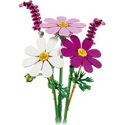 Cosmos Flowers