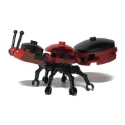 Fire Ant
