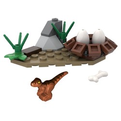 Baby Raptor and Nest