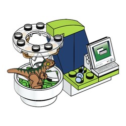 Create Dino