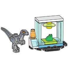 Raptor Breakout (set 122506-1)