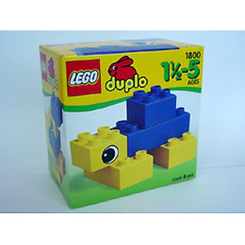 Turtle