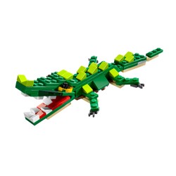 Crocodile