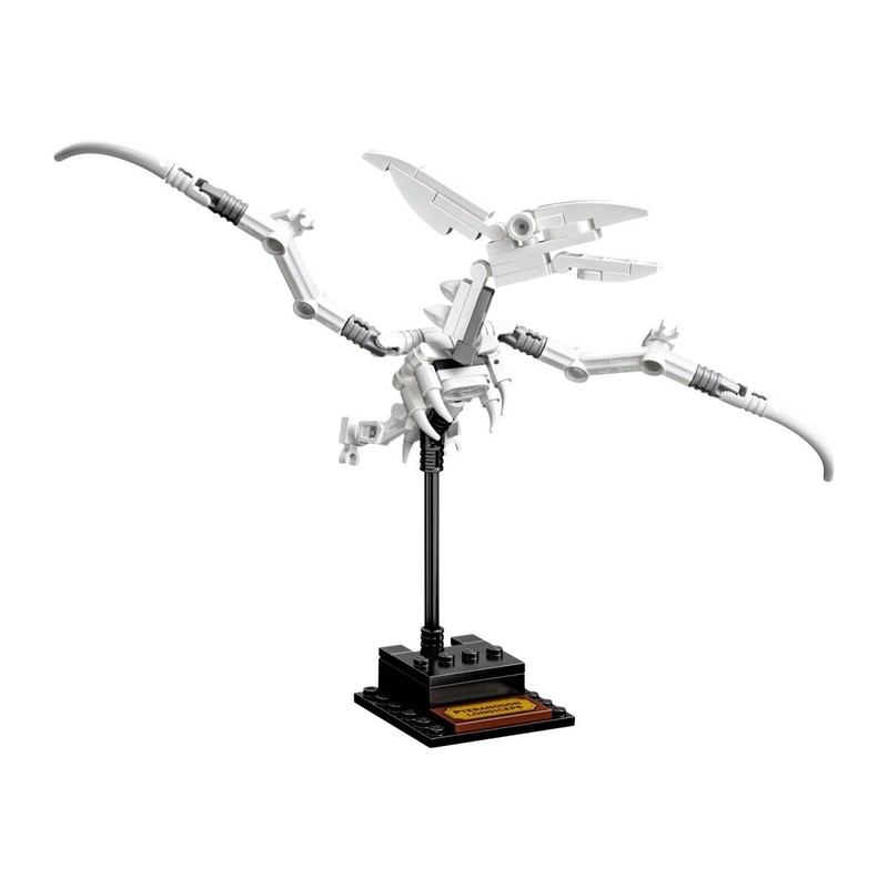lego-set-21320-1-s3-pteranodon-longiceps-2019-lego-ideas-and-cuusoo