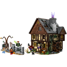 Hocus Pocus (set 21341-1)