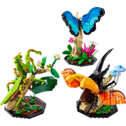 The Insect Collection