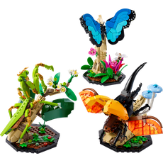 The Insect Collection (set 21342-1)