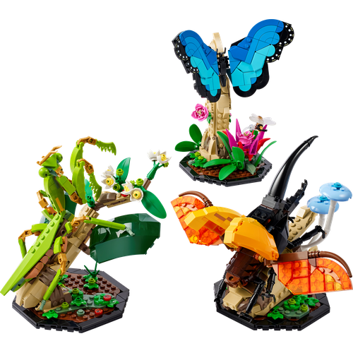 The Insect Collection
