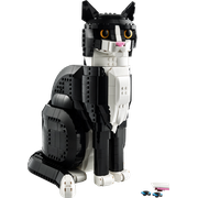 Tuxedo Cat