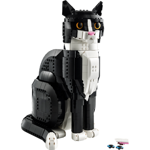 Tuxedo Cat