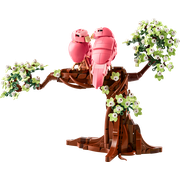 Love Birds