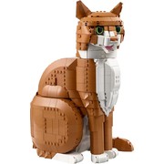 Orange Cat
