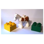 Pony