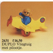 Stunt Pilot and Plane