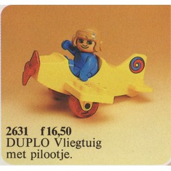 Stunt Pilot and Plane