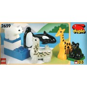Baby Animals
