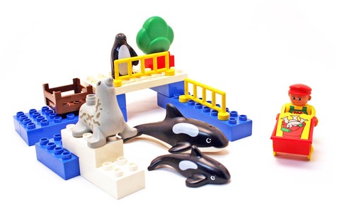 Water Animals