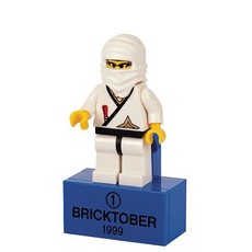 Ninja Princess (set 2856223-1)