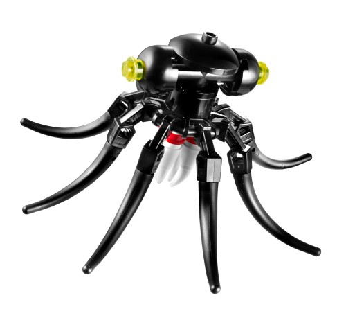 Octopus
