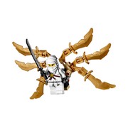 Ninja Glider