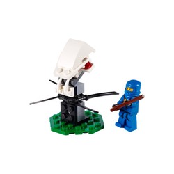 Ninja Training