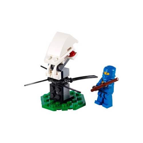 Ninja Training