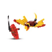 Dragon Fight
