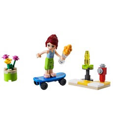 Skate Boarder (set 30101-1)