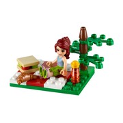 Summer Picnic