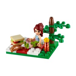 Summer Picnic