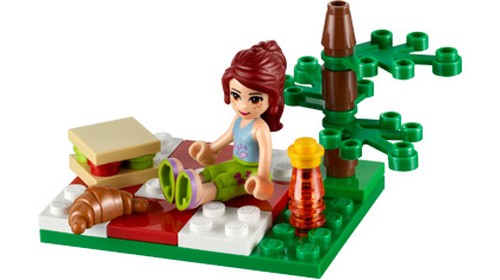 Summer Picnic