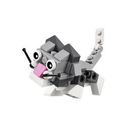 Cute Kitten