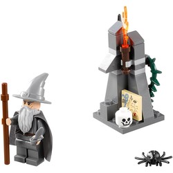 Gandalf at Dol Guldur, zdjęcie 1