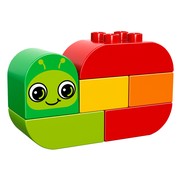 Snail