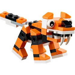 Tiger, zdjęcie 1