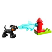 Town Rescue (Dog)