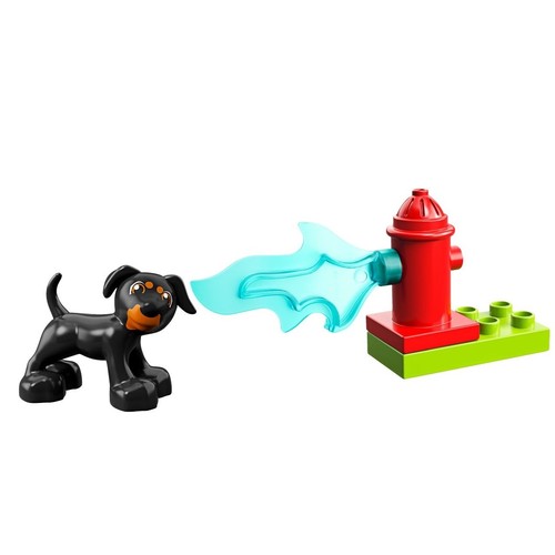 Town Rescue (Dog)
