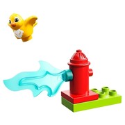 Town Rescue (Bird)