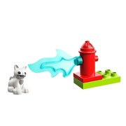 Town Rescue (Cat)