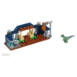 Baby Velociraptor Playpen, zdjęcie 1