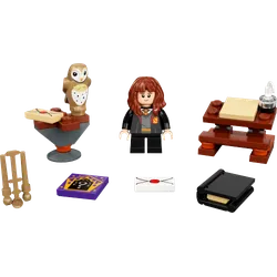 Hermione's Study Desk