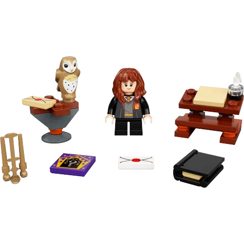 Hermione's Study Desk