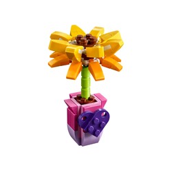 Friendship Flower, zdjęcie 1