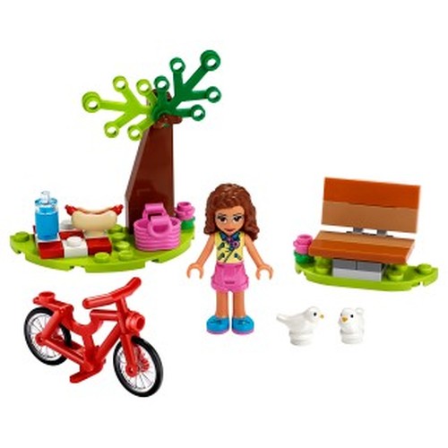 Park Picnic