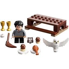 Harry Potter and Hedwig: Owl Delivery (set 30420-1)