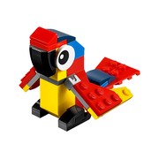 Parrot