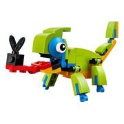 Colorful Chameleon