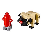 Cute Pug