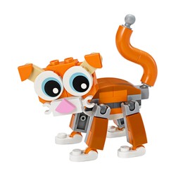 Cat, zdjęcie 1