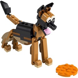 German Shepherd, zdjęcie 1